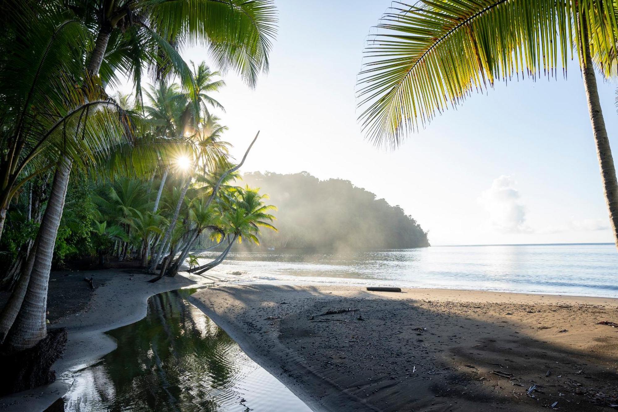Playa Cativo Lodge Esquinas ภายนอก รูปภาพ
