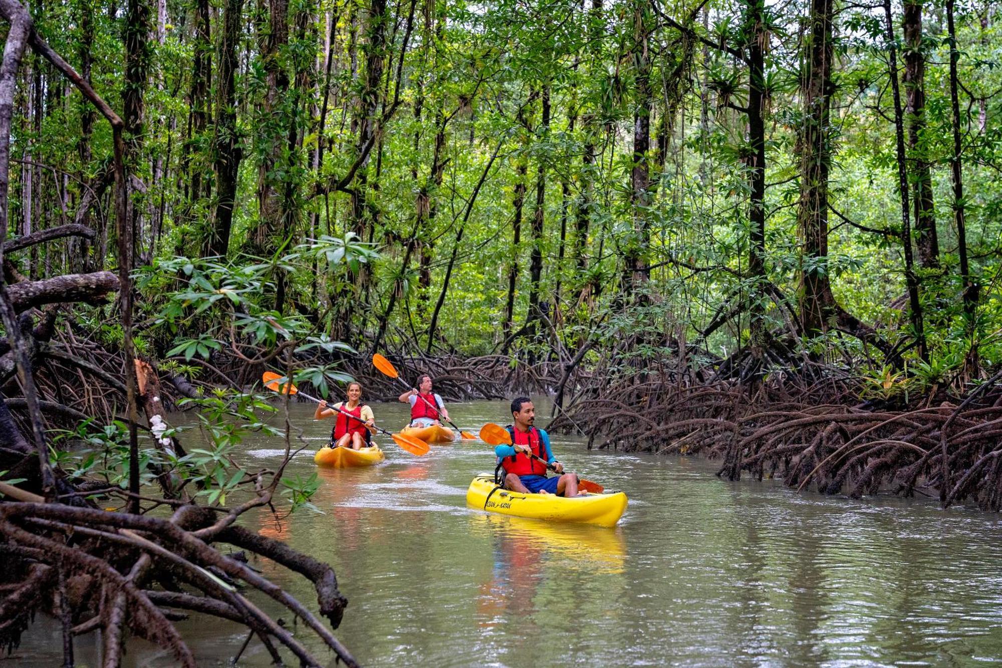Playa Cativo Lodge Esquinas ภายนอก รูปภาพ