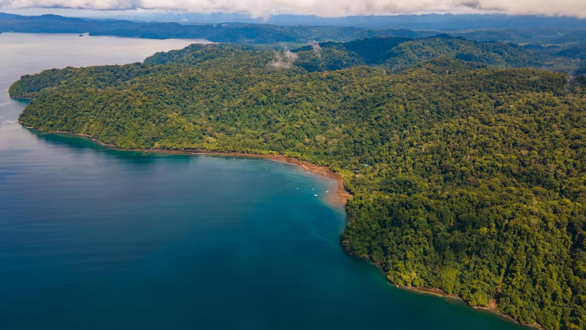 Playa Cativo Lodge Esquinas ภายนอก รูปภาพ